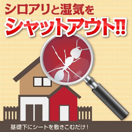 シロアリと湿気をシャットアウトするターミダンシート。基礎に引くだけの簡単設置